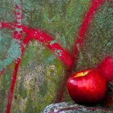 1_Karin Wobig  Apfel vor Kunst  