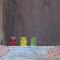 5_Norbert Biel  Alter und neuer Anstrich