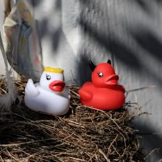 7_Michael Stüben  Mein Nest
