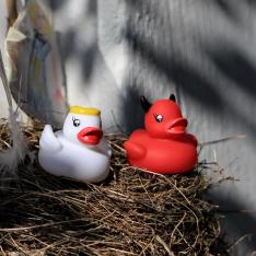 7_Michael Stüben  Mein Nest