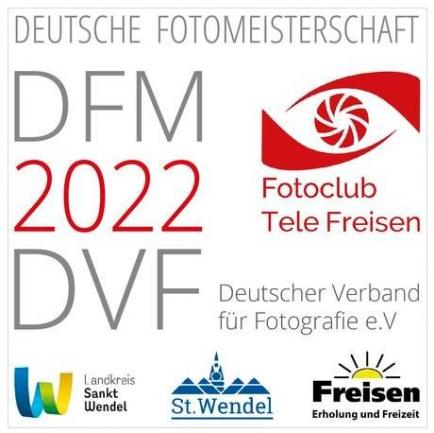 Auszug aus DVF-Website