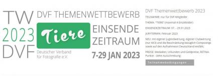 Auszug aus DVF-Website