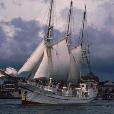 Hart am Wind