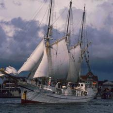 Hart am Wind