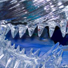 Ice-World