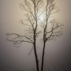 Vernebelte Sonne