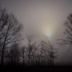 Winterspaziergang