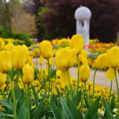 Arboretum22