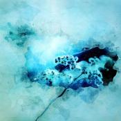 Aquarell 6