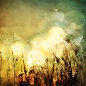 Aquarell 8