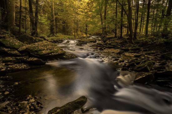 Am Waldbach