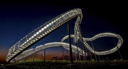 Tiger and Turtle