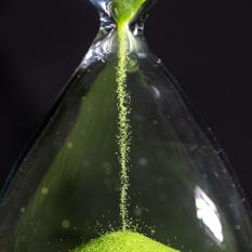 Grüne Zeit