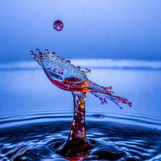 Splash