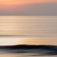 The wave