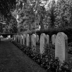 Helmut Witthake "Dutch war graves"