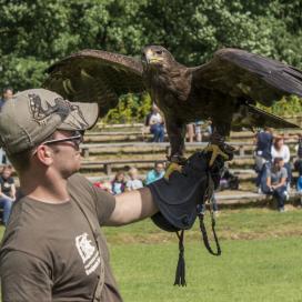 Sommerfest 2016 in Trappenkamp