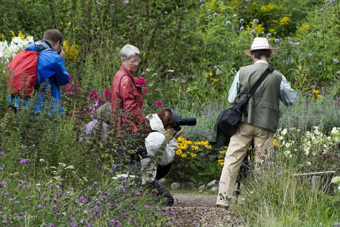 Fotopirsch im Schmetterlingsgarten