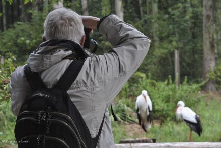 Shooting bei den Störchen