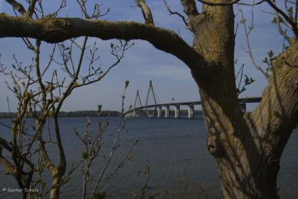 Brücke_2