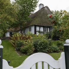 Reetdach in Sieseby